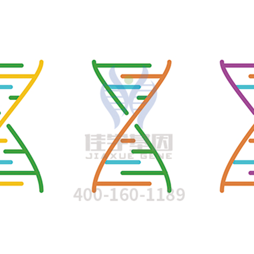 【眼科遗传病】<font color='red'>BEST</font>病基因解码、<a href=http://www.khwoo.com/tk/jiema/cexujishu/2021/31933.html>基因检测</a>