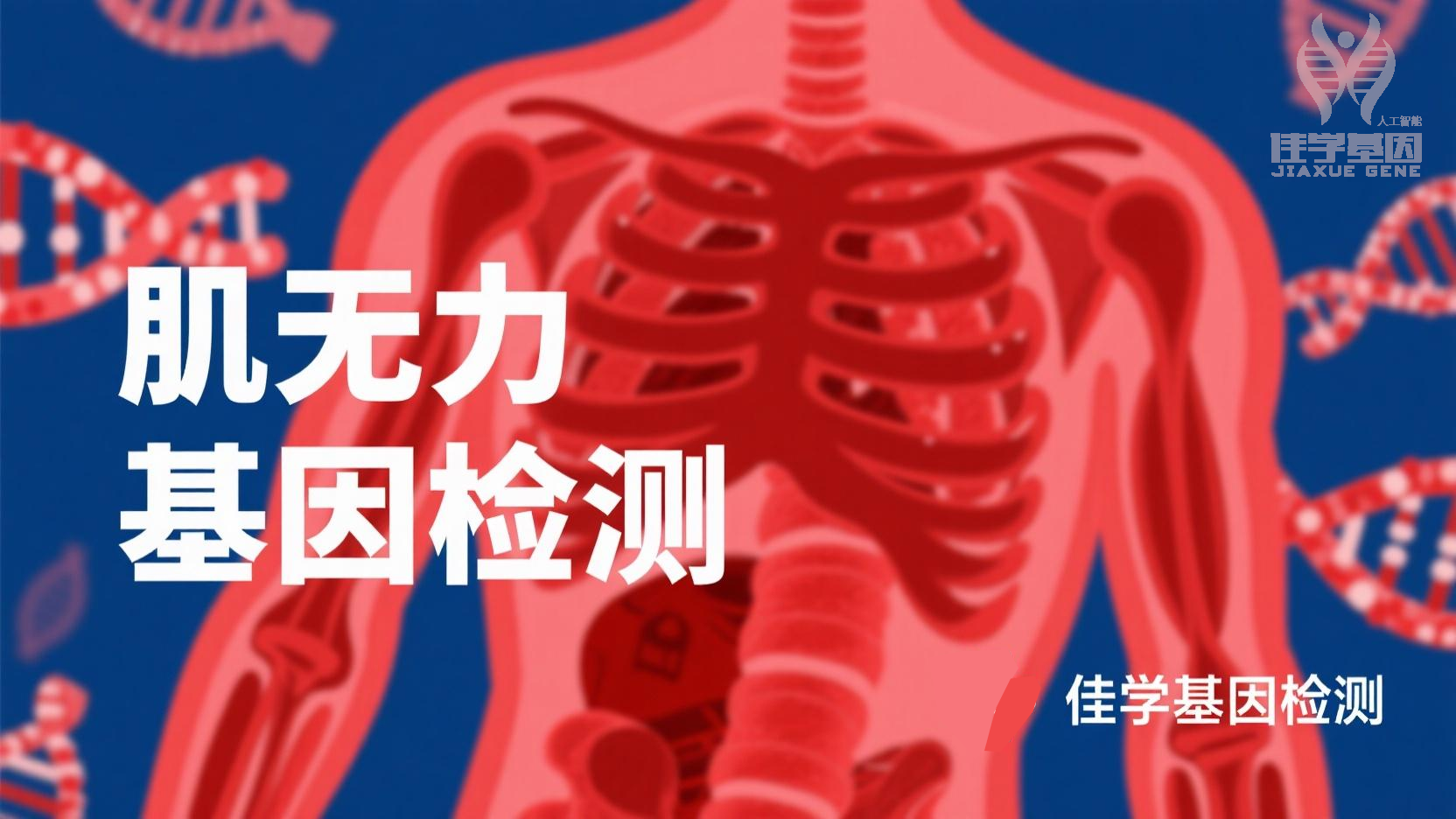 【yp街机(中国)基因检测】先天性<font color='red'><font color='red'>肌无力</font></font>综合症16型基因检测需要查染色体突变吗？