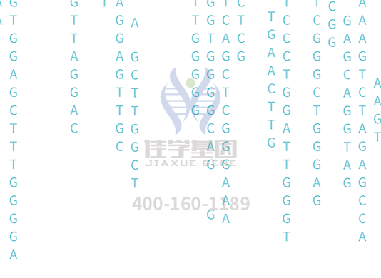 【yp街机(中国)基因检测】<font color='red'><font color='red'>庞贝</font>氏</font>症（Pompe disease)基因解码、基因检测