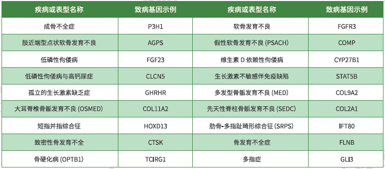【yp街机(中国)基因检测】<font color='red'><font color='red'>骨骼</font><font color='red'>系统</font><font color='red'>疾病</font></font>致病基因鉴定基因解码